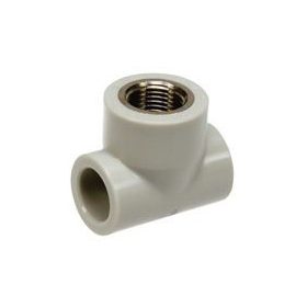 Sanitas 25-3/4"-25  BM T